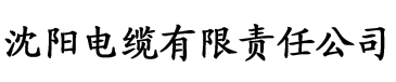 蜗牛视频电缆厂logo